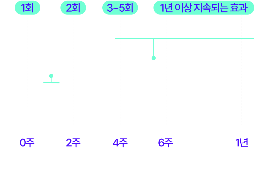 시술 횟수에 따른 효과 유지 기간 그래프